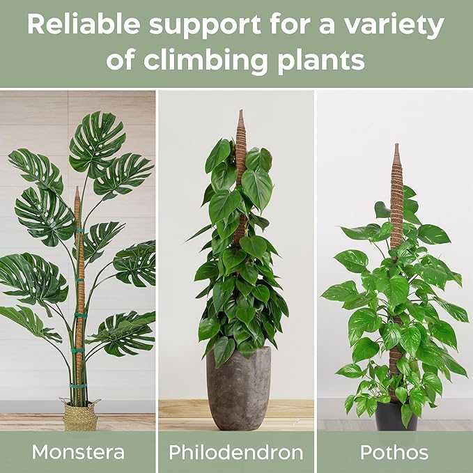 2 Pack 63'' Bendable Moss Pole Monstera Plant Support - Image 4