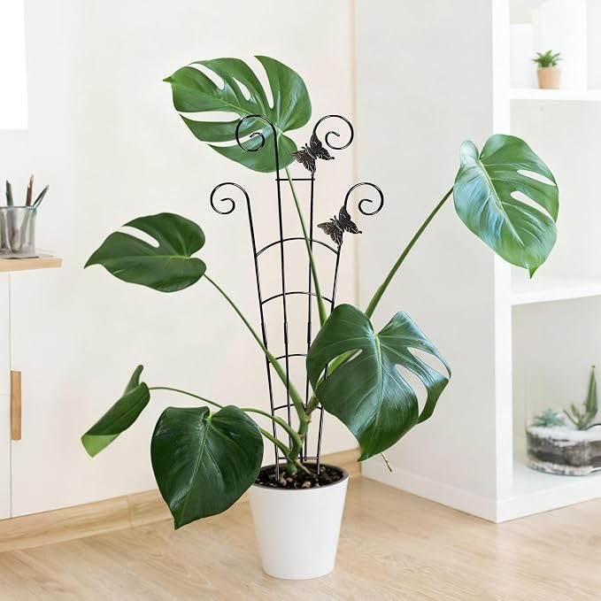 30'' Larger Plant Trellis with Ties Indoor, Expandable Metal Trellis - Image 9