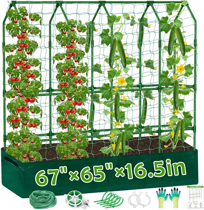 Large Cucumber Trellis for Climbing Plants by ROADPLUM