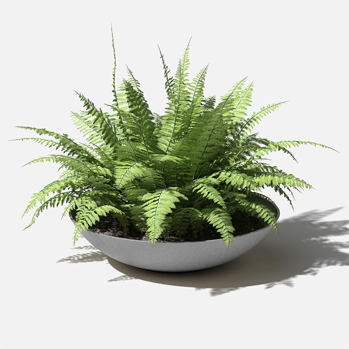 Veradek Mason Series Lane Bowl Planter| - Image 8