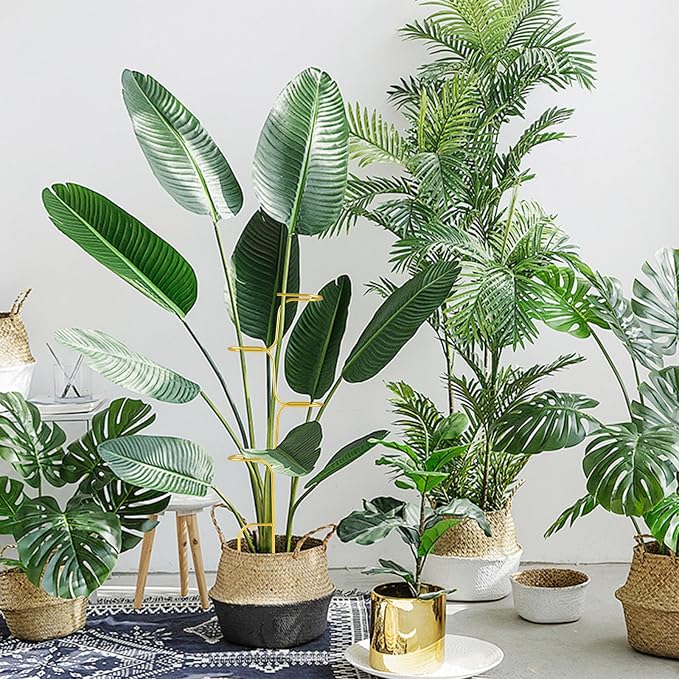 succulentlovers 4PCS Indoor Plant Support Stakes, 12.6 Inch Metal Monstera - Image 3