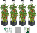 MQUPIN Tomato Planter Box with Trellis by MQUPIN