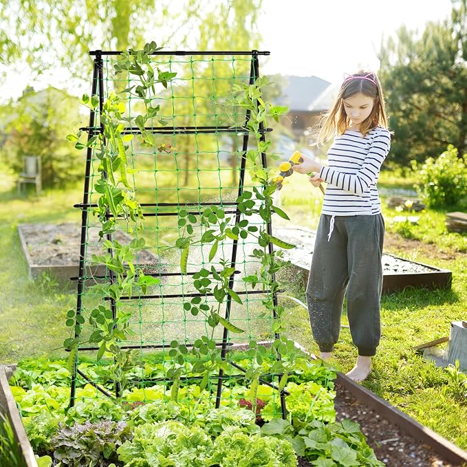 Lalahoni Garden Trellis for Climbing Plants Outdoor, 31.5x70.8 inch Metal - Image 2