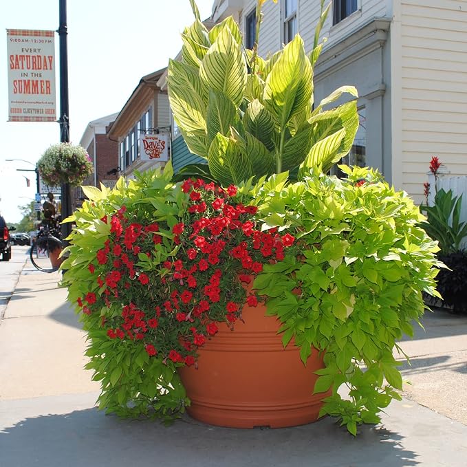 Tusco Products Rolled Rim Garden Planter - Image 2