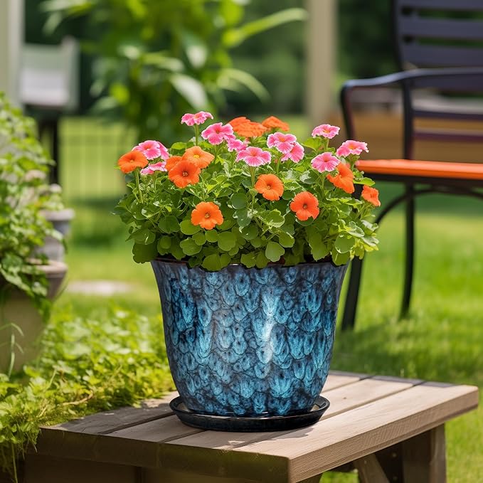 Ceramic Plant Pots - Image 4
