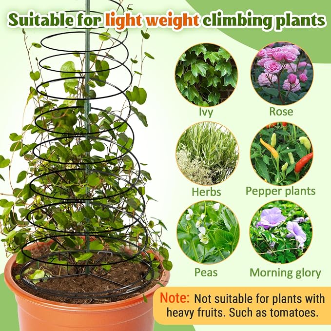 Pea Trellis Green Bean Trellis for Garden - Image 3