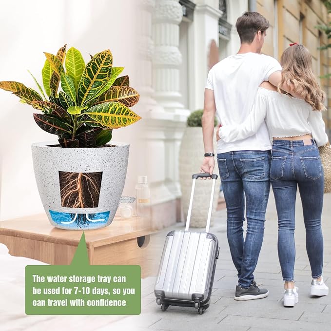 10/9/8 inch Self Watering Pots - Image 7