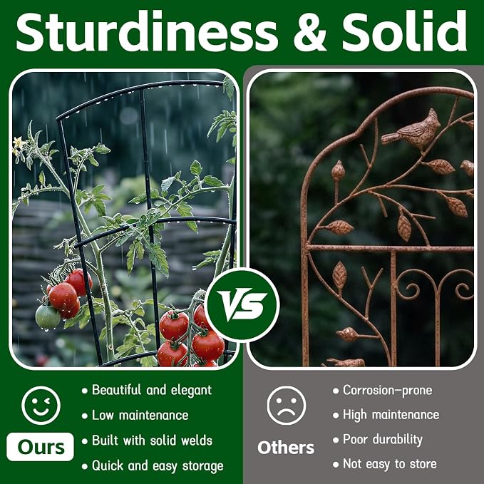 4 Pack 56'' Indoor Plant Trellis - Image 8