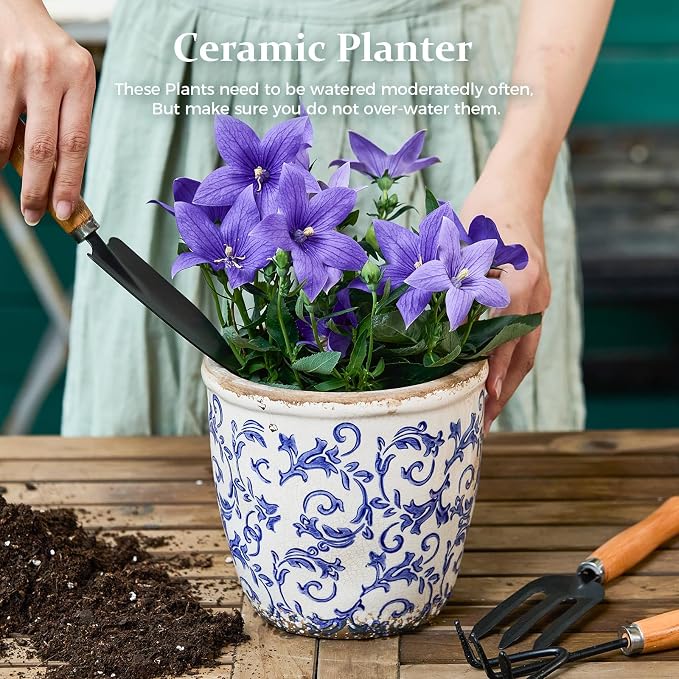 Vintage Ceramic Planter with Drainage Hole, Plastic Tray & Mesh, 5.5 Inch - Image 2