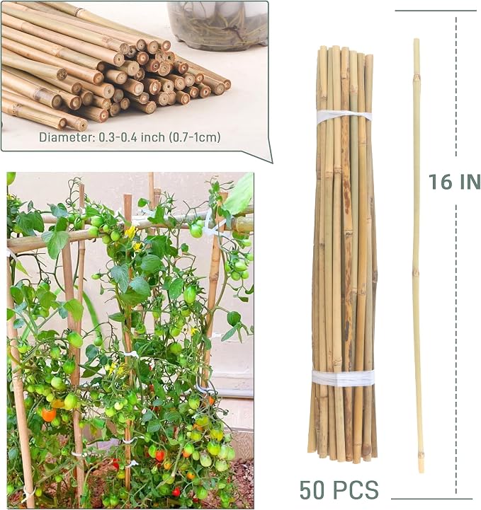 50Pcs / 16 inch Bamboo Plant Stakes - Image 5