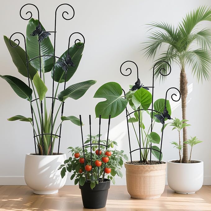 4 Pack 30 InchTaller Plant Trellis - Image 2