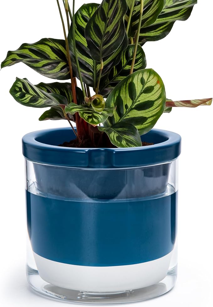 D'vine Dev 8 Inch Design Self Watering Planter by DvineDevPlanterPotsandStand