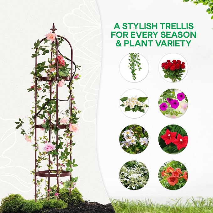 Idzo Trellis for Climbing Plants Outdoor, Garden Trellis Steel, Obelisk Design - Image 7