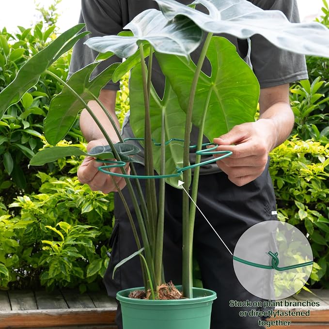 5PCS Monstera Plant Support Stem 9 x 7.6 in- Durable Stabilizer Set - Image 4