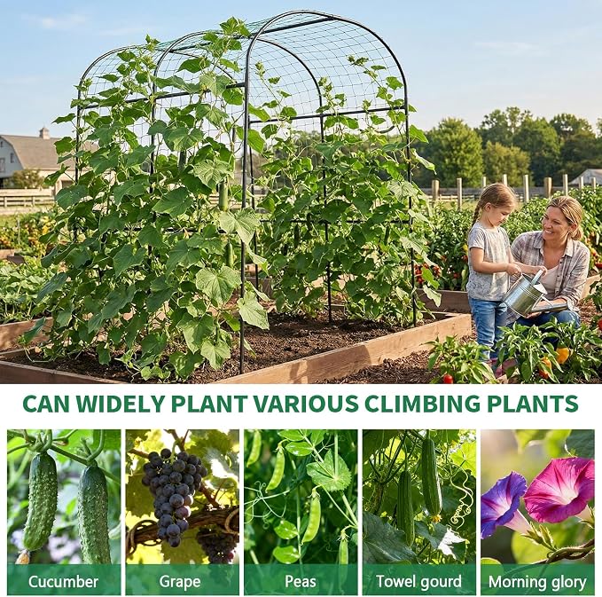 SUNYRISY Garden Arch Trellis for Climbing Plants Outdoor - Image 8