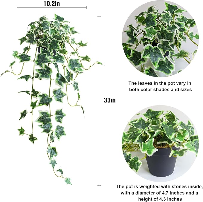 Fake English Ivy Plants in Pots Set of 2 – Realistic Artificial Ivy Greenery - Image 2