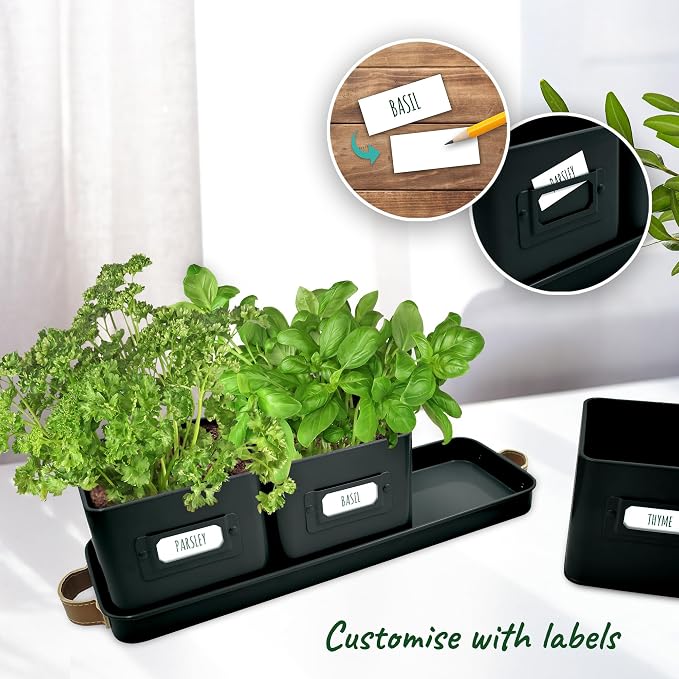 volila Herb Planter Indoor - Image 3
