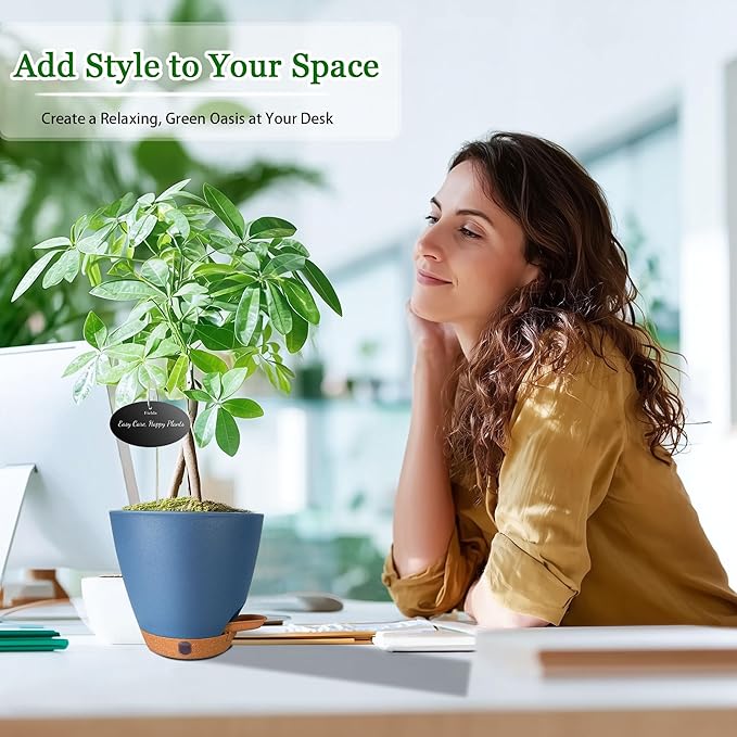 6 Inch Self Watering Pots for Indoor Plants – Small Plastic Planters - Image 4