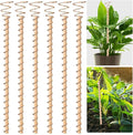 6pcs Electroculture Plant Stakes, 13.5'' Copper Coil Wire Antennas Garden Stakes by Doksving