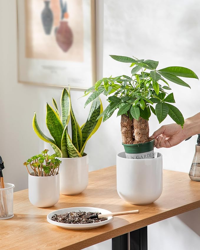 vancasso Ceramic Plant Pots, 4+5+6 inches, Planters - Image 6