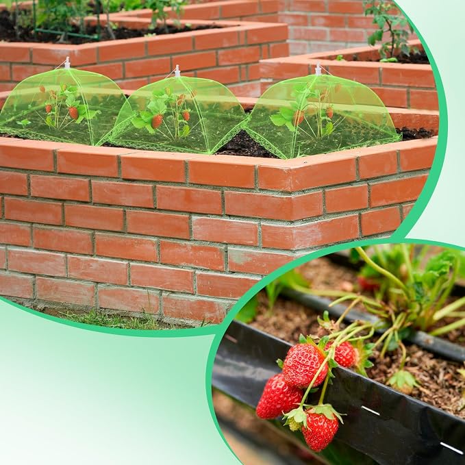 4 Sets Strawberry Plant Support - Image 4