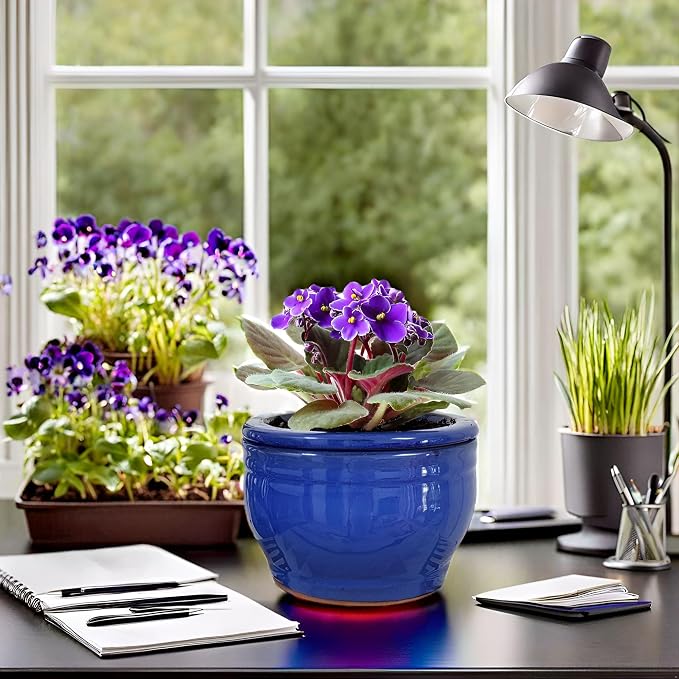 African Violet Pots Self Watering Round Ceramic Violet Pot - Image 5