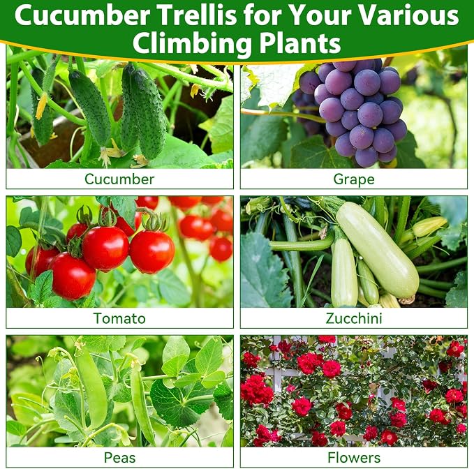 Cucumber Trellis for Raised Bed, Metal Arch Plant Support, Vegetables Trellis - Image 6