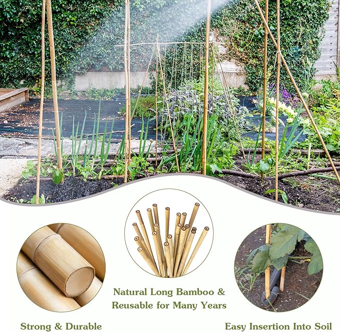 Plant Stakes 3FT, Natural Bamboo Stakes, HAINANSTRY 25Pcs Sturdy Bamboo Garden - Image 3