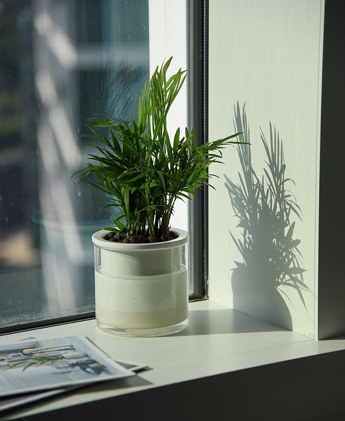 Phoenix Vine 4 Inch Self Watering Planter Pot, Design White Terracotta Pots - Image 7