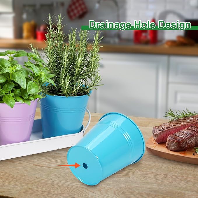 Herb Garden Planter Indoor Kit – 6 Metal Pots - Image 3