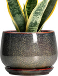 G EPGardening 7 Inch Ceramic Pots by GEPGardening