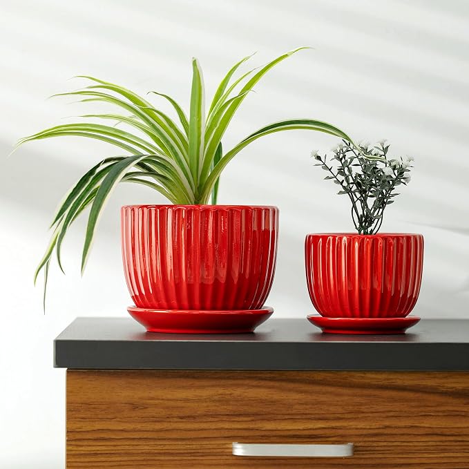 Ton Sin Ceramic Plant Pots - Image 6