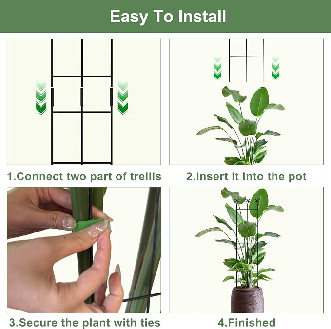 Coomin 2 Pack 32in Monstera Plant Support Stakes - Image 5