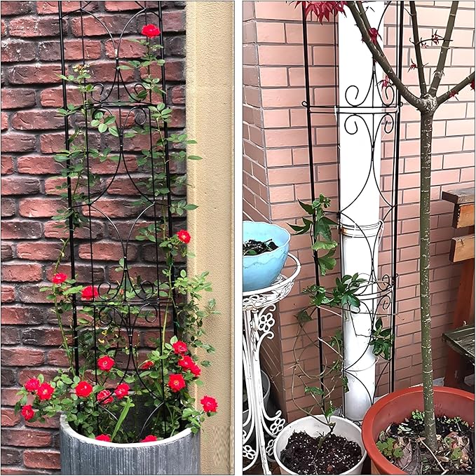 Garden Trellis 2 Pack 72'' H x 12'' W Metal Plant Trellis Indoor/Outdoor Metal - Image 6