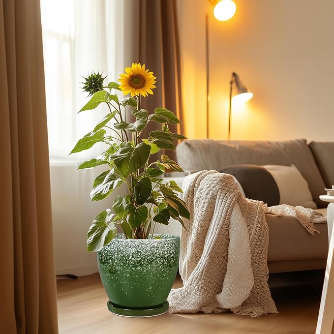 10 Inch Plant Pot - Image 2