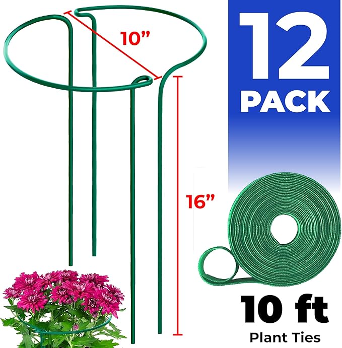 K-Brands 12 Pack Plant Support Stakes – Heavy-Duty Half Round Peony Support - Image 2