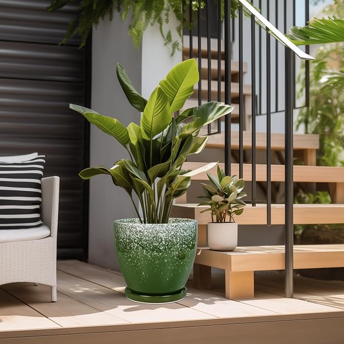 10 Inch Plant Pot - Image 5