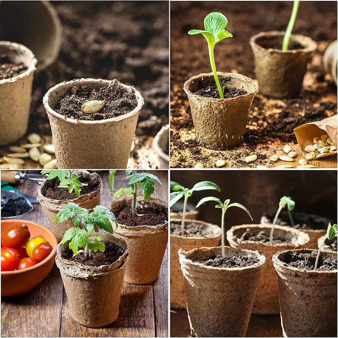 JERIA 100-Pack 3.15 Inch Peat Pots - Image 7