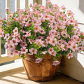 20 Bundles Artificial Flowers for Outdoors, UV Resistant Fake Plants Flowers by Grunyia