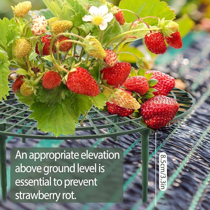 4 Sets Strawberry Plant Support - Image 6