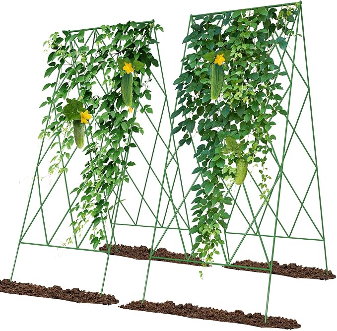 Cucumber Trellis 2 Pack, Foldable A-Frame Garden Trellis by UrGROWA