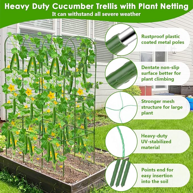 Cucumber Trellis for Climbing Plants - Image 5