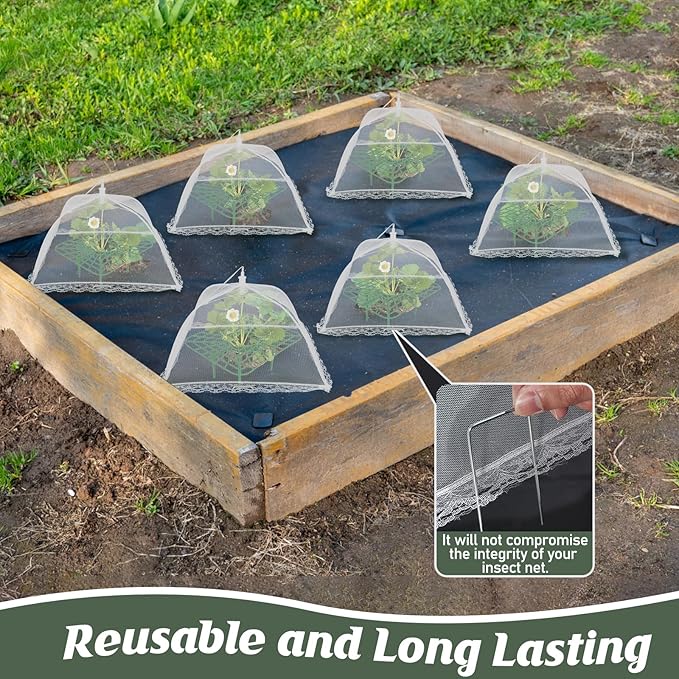 6 Sets Strawberry Plant Support - Image 4