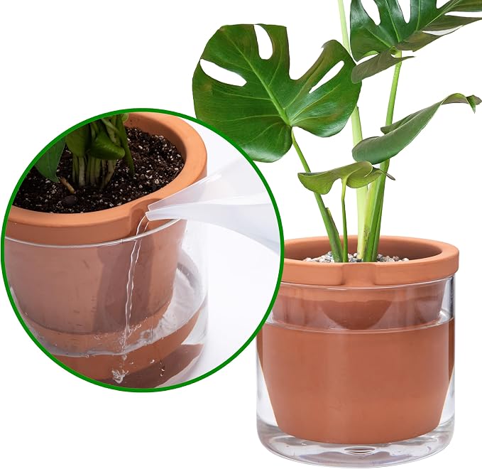 D'vine Dev 8 Inch Design Self Watering Pot - Image 5