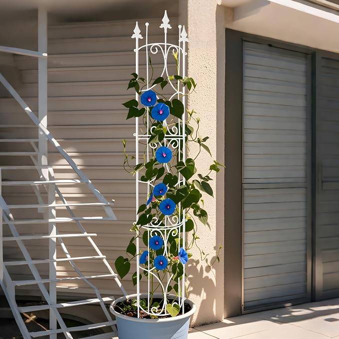 Garden Trellis 2 Pack 72'' H x 12'' W Metal Plant Trellis Indoor/Outdoor Metal - Image 3