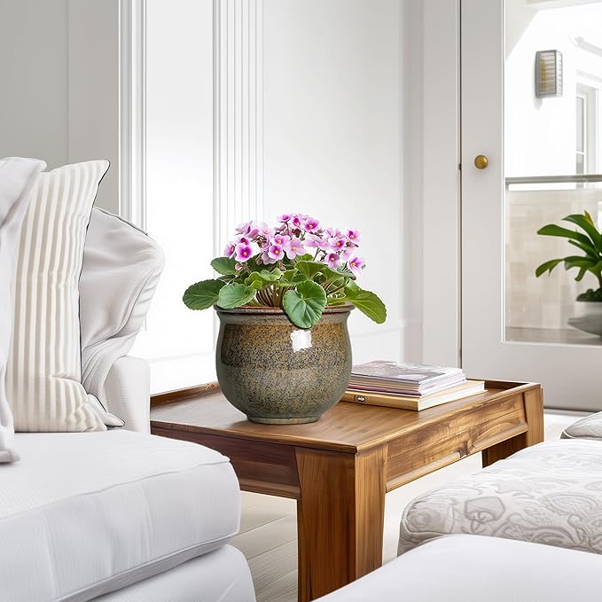 Self Watering Planters for Indoor Plants, 6 Inch Ceramic African Violet Pots - Image 6