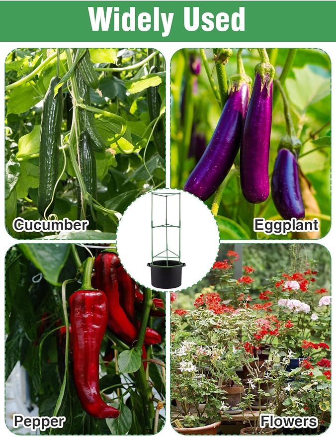 ANPHSIN 3 Sets Tomato Cages - Image 6