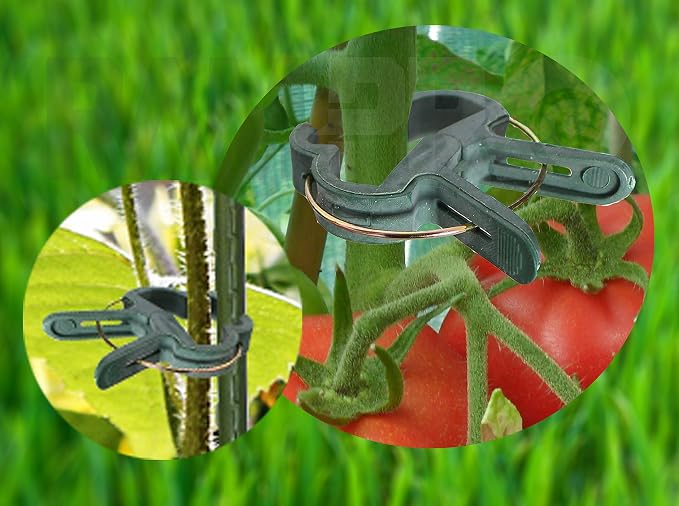 Plant Clips 40 Piece Green Gentle Gardening Plant & Flower Lever Loop Gripper - Image 8