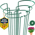 K-Brands Tall Plant Support Stakes – 10"W x 24"H Half Round Peony Cages and by K-BRANDS