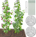 Pea Trellis Green Bean Trellis for Garden by PAMASE